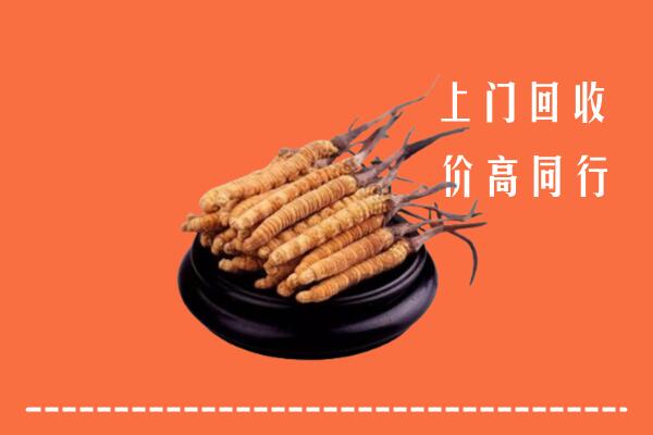 高价求购：朔州回收散虫草