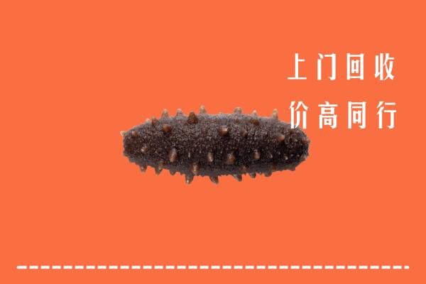 朔州回收海参