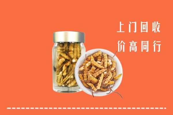 朔州回收冬虫夏草